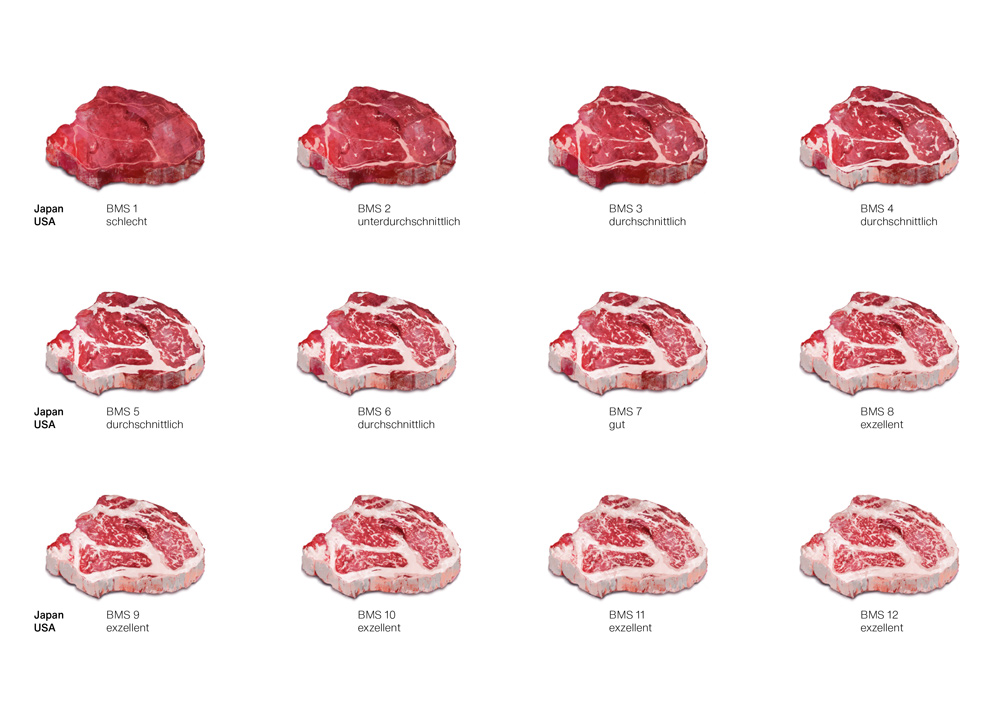 12 painted beef marbling standards